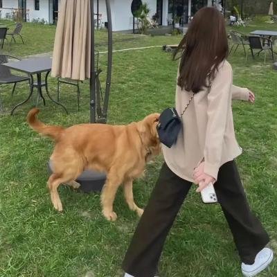 剩男圣女嗨起来